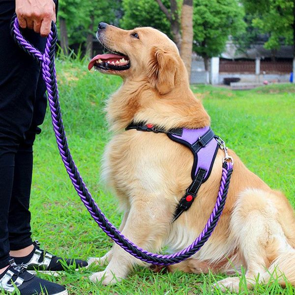 

dog apparel chest vest collar leash husky golden retriever labrador walking explosion-proof bite