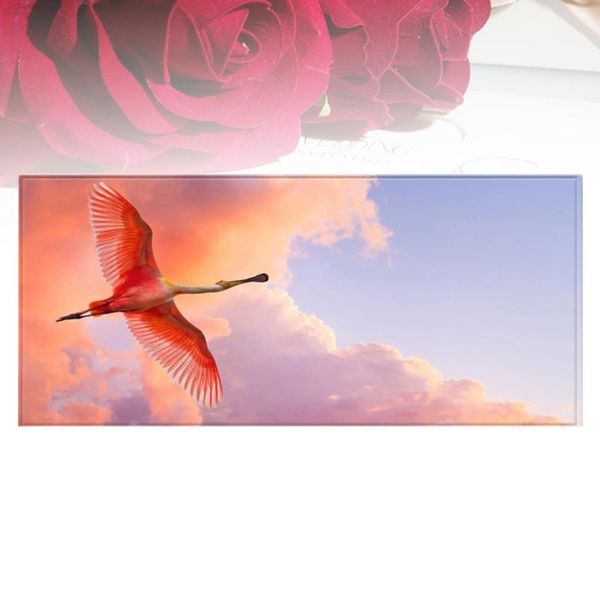 

1pc 60x40cm Rectangle Doormat Flying Birds Printed Carpet Anti-Slip Hallway Kitchen Mat Carpets