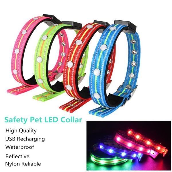

nylon waterproof pet dog led collar usb charging reflective puppy dogs cat glowing collars safe luminous necklace & leashes