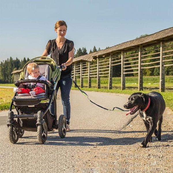 

dog collars & leashes hands pet leash for retractable walking running jogging hiking reflective nylon belt large dogs 20