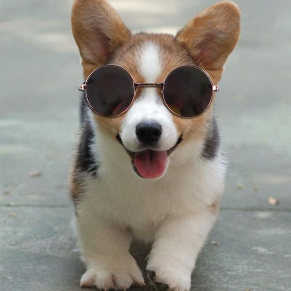 

dog apparel pet sunglasses decoration glasses pograph funny cool cat puppy accessories