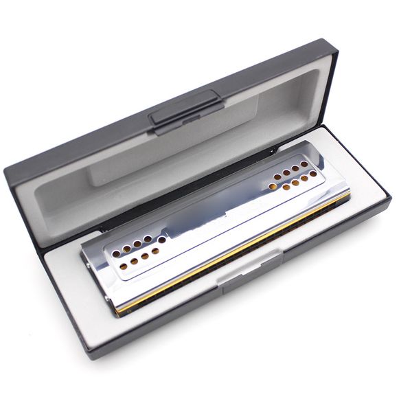 

swan harmonica 2 in 1, harmonica, c & g hard key, 24 double hole, tongue harmonica, musical instrument harmonica wholesale