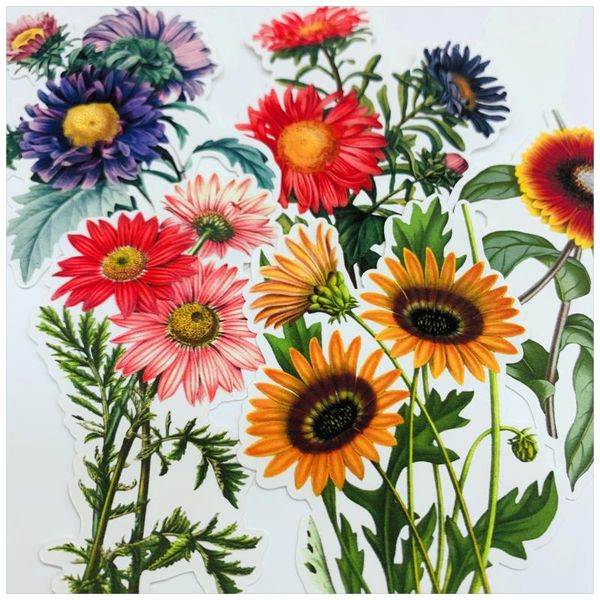 

gift wrap beautiful daisy flowers stickers junk journal planner scrapbooking decorative sticker diy craft po