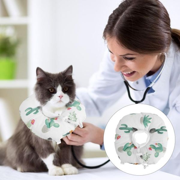 

cat collars & leads pet kitten after neck collar comfortable to wear recovery cone