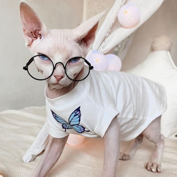

cat costumes hairless clothes sphinx devon short butterfly handsome street t-shirt kitty for pet small dog