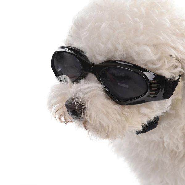 

colors foldable pet dog glasses medium large eyewear waterproof protection goggles uv sunglasses apparel
