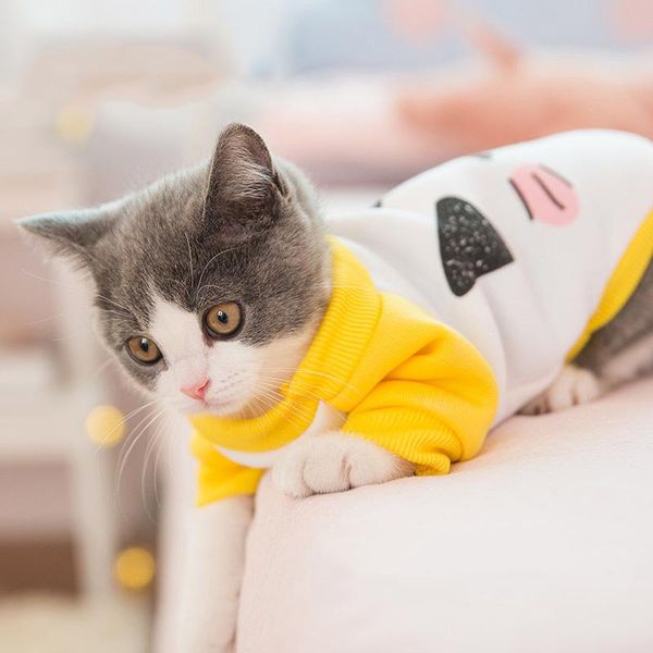 

cat costumes fashion clothing for cats sphinxes pet coats warm animals casual costume dogs suit jacket