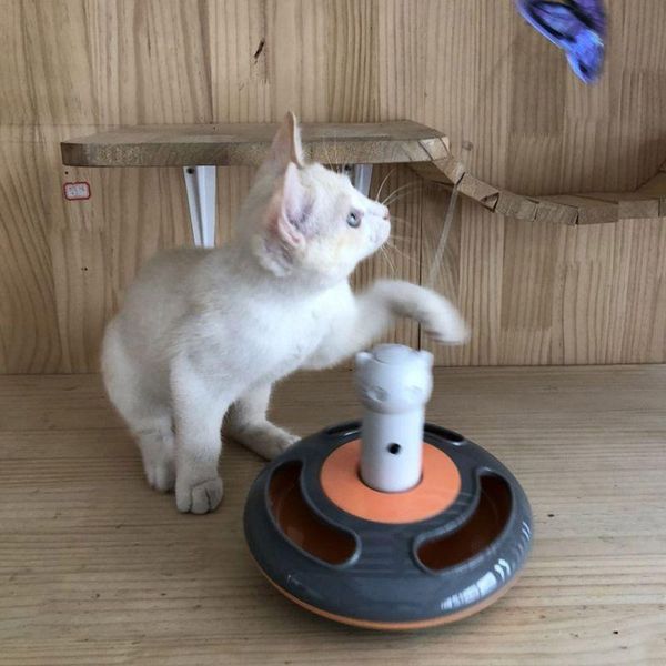 

cat toys plastic automatic sensation self electric pet dog feathers disease artifact development puzzle