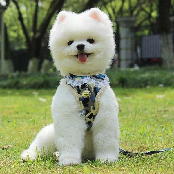 

pet chest strap reflective ventilation dog traction rope small vest collars & leashes