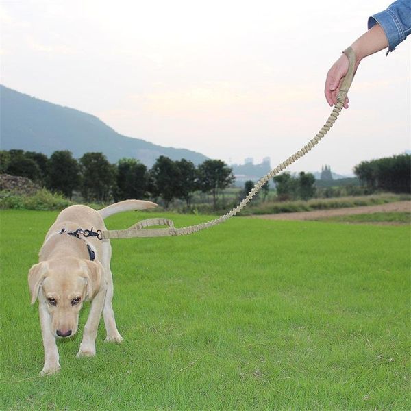 

waterproof quick release army tactical dog leash nylon military elastic bungee belt training for medium large collars & leashes