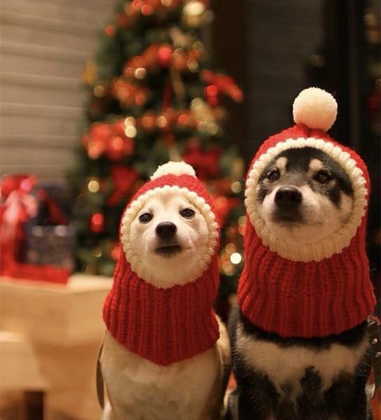 

dog apparel pet cat wool hat disfraz santa navidad gorro perro papai noel fantasia winter hats for dogs dd6d118