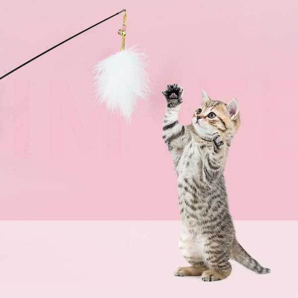 

cat toys kitten interactive stick funny fishing rod game wand feather toy pet supplies accessory