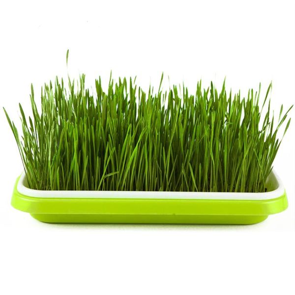 

planters & pots corrosion-resistant breathable environmental proetction plastic double-layer seedling tray plant germination box