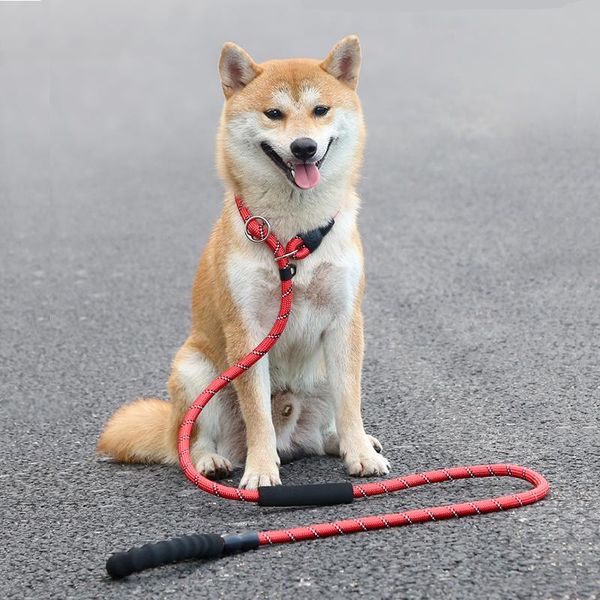 

dog leash running walk train for large small pets leashes dogs rope nylon tenacity 4 colors 3 sizes collars &