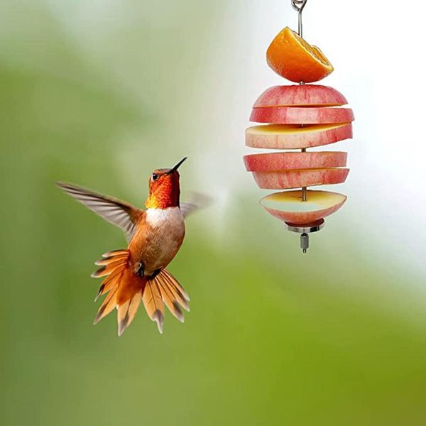 Andere Vogelbedarf Haustier Papageien Vögel Futterhalter Unterstützung Edelstahl Obst Speer Stick Gemüsespieß Home Feeder