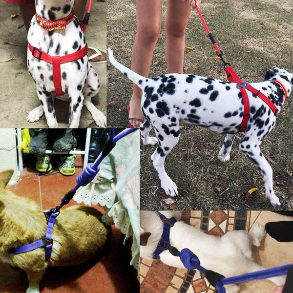 

dog collars & leashes puppy vest harness leash for animals pet supplies collar