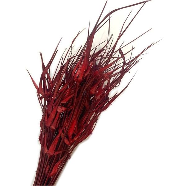 

decorative flowers & wreaths retro fleurs sechees ornaments garden decoration outdoor dried home window party plant accessories arche mariag