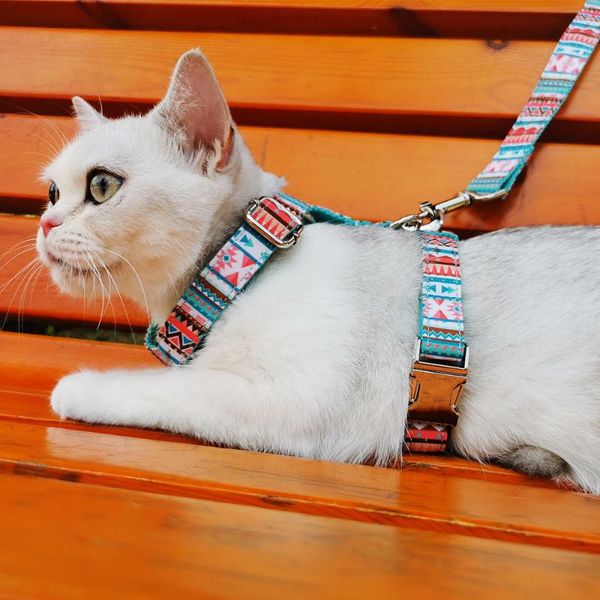 

nylon pet cat collar harness dog collars & leashes