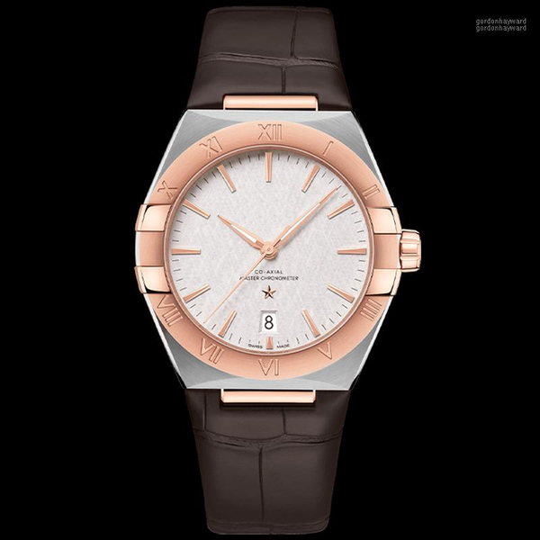 

wristwatches luxury sapphire glass automatic watch for men genuine leather band men's mechanical watches brand male clock montre homme, Slivery;brown