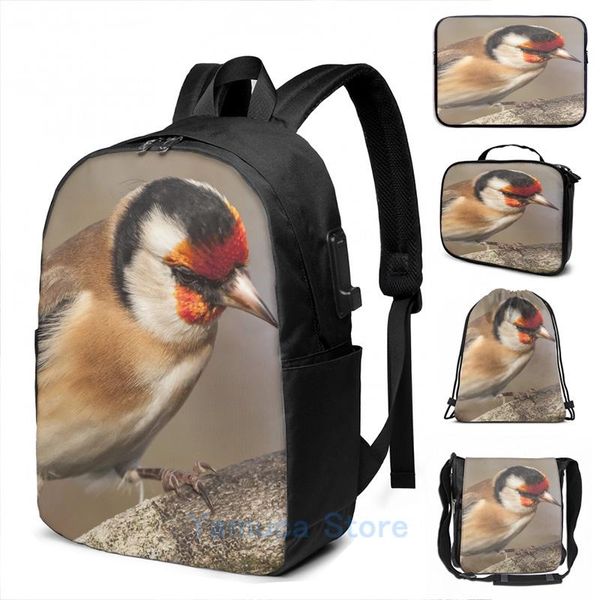 

backpack funny graphic print european goldfinch bird close up usb charge men school bags women bag travel laptop