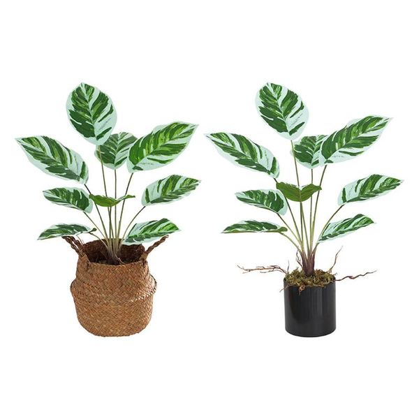 Dekoratif Çiçekler Çelenkler Plastik Yapay Arrowroot Bonsai Sahte Saksı Bitkileri Gerçek Dokunmatik Oturma Odası Düğün Parti Centerpieces Dekor