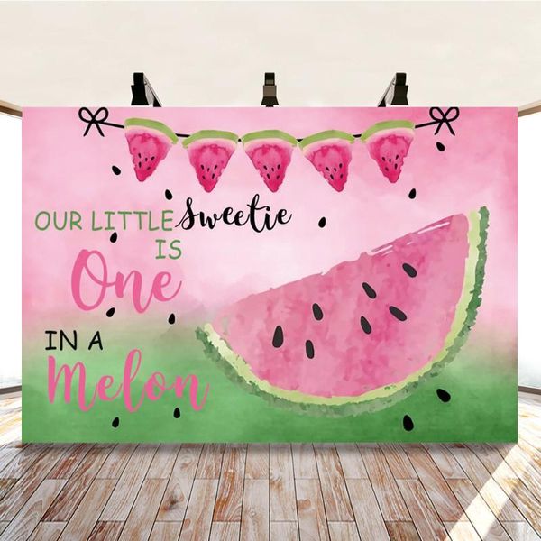 

fanxing watermelon party backdrop one in a melon summer pography background first birthday decoration
