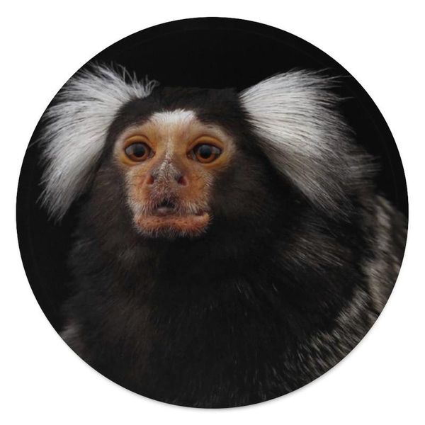 

monkey blanket cold soft round fashion colorful fleece bedspread blankets