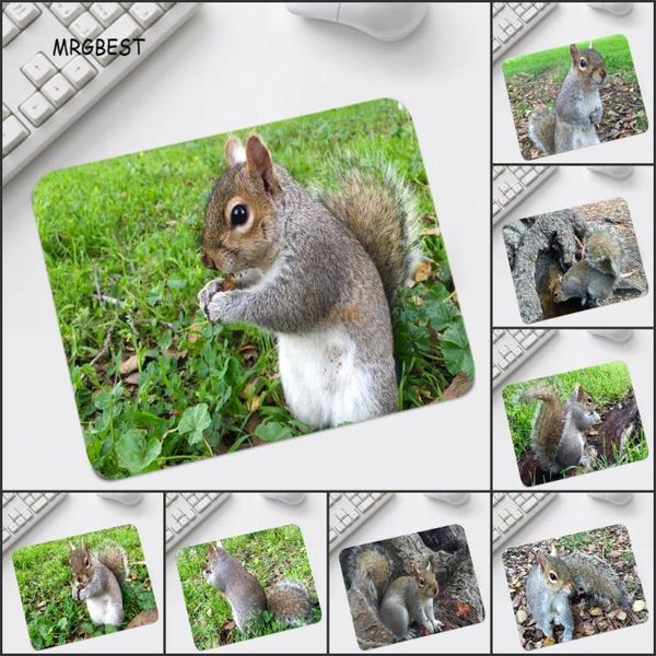 

mouse pads & wrist rests animal squirrel printed mouse-pad gaming pad small size 220x180x2mm big promotion for office table mice wholesale