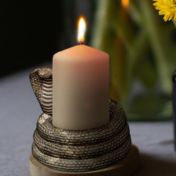 

craft tools snake shape succulents pot concrete planter molds round cement candle holder silicone mold plaster home decoration mould