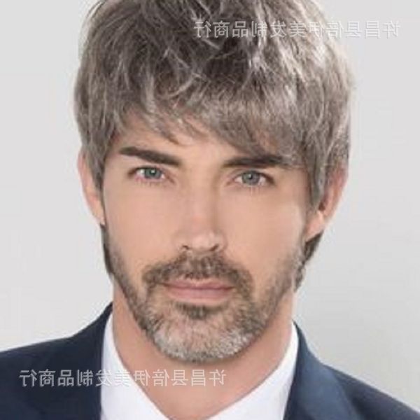 

short men's wig fluffy straight hair black gray fiber head cover