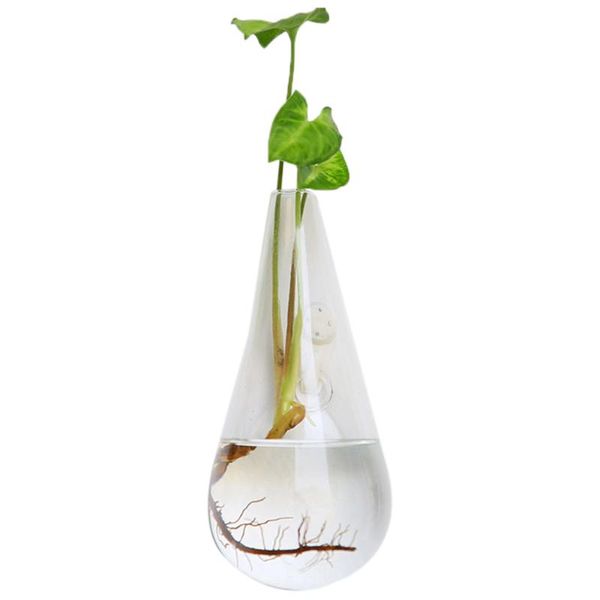

vases luda hanging clear home glass wall mounted vase bottle plant flower ball decor terrarium diamond style