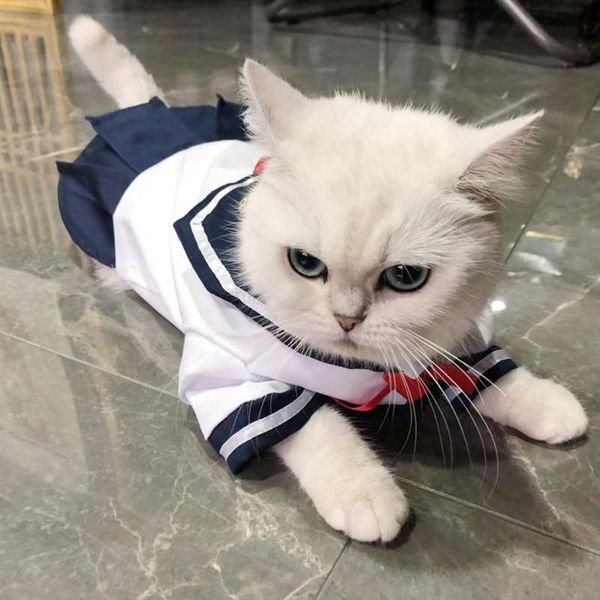 

pet jk uniform cat cosplay costumes sailor uniform for dogs clothes cats cute blouse skirt thin fabric apparel
