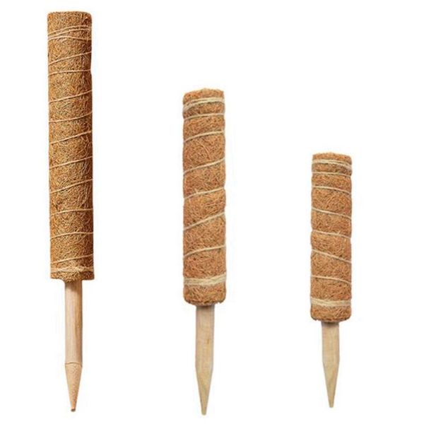 

other garden supplies at69 -3pcs moss pole is suitable for plants cocoa used climbing indoor potted and creeping