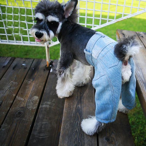 

dog apparel small pet denim jeans coat jacket cool cat summer spring puppy jumpsuit overall clothing for pitbull animals goods