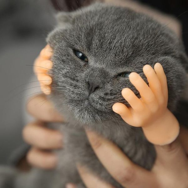 

small animal supplies funny little hand creative finger fidgety toy tease cat pet fingers roll gloves