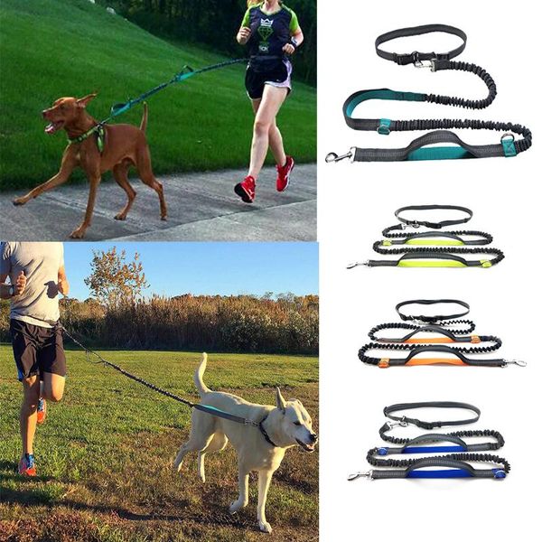

dog collars & leashes hands running leash reflective eleasticity walking hiking120lbs collar leashtwo handle control harness