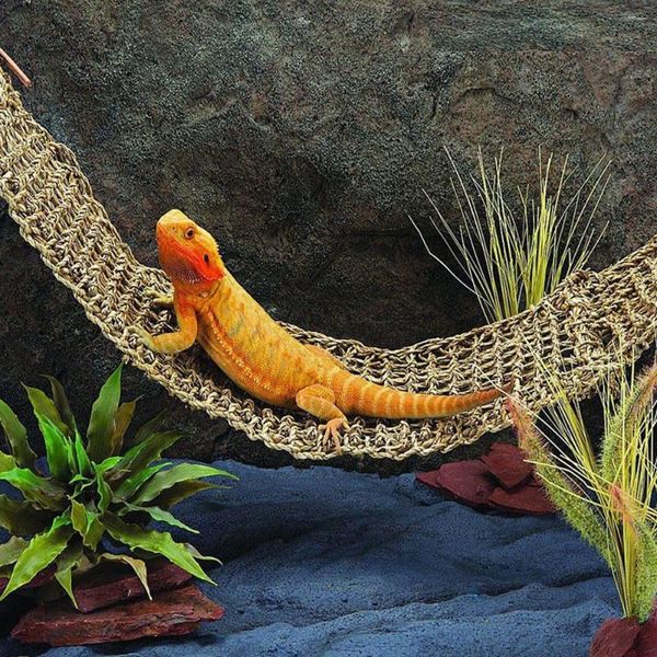 

dog apparel seaweed lizard hammock swing pet mats reptile accessories lounger toy hanging bed mat small hermit crabs geckos
