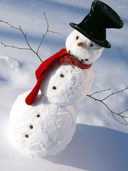 

christmas decorations snowman dress decorating kit decoration making village winter family mouth toy gift