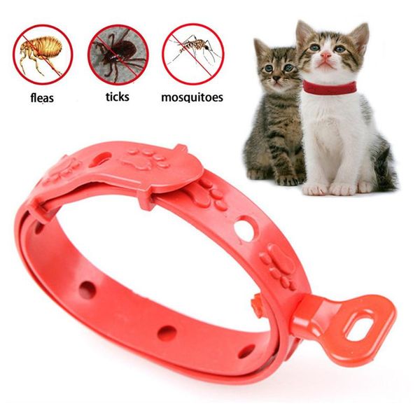 

adjustable cat puppy anti pest collar neck trap flea tick lice pet protection leash for dog health care collars & leashes
