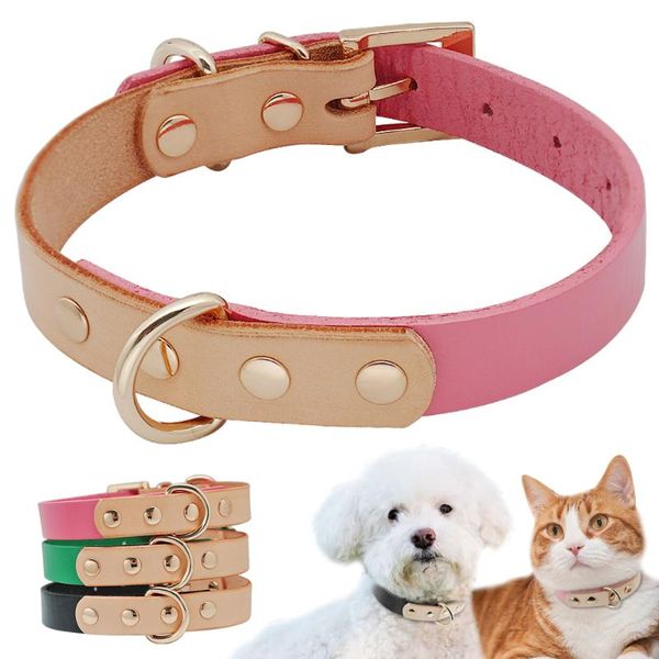 

dog collars & leashes luxury leather pet collar colorful for small dogs chihuahua yorkshire products perro pug accessories