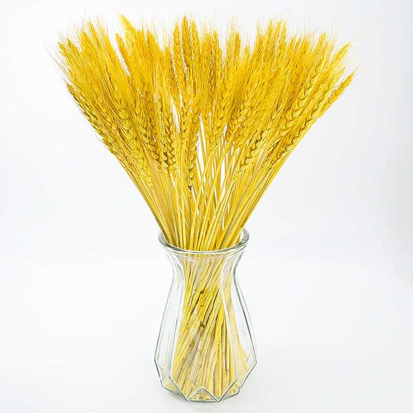 

decorative flowers & wreaths 100/50/20pcs/lot real wheat ear flower natural dried bouquet wedding party decoration homemade decor