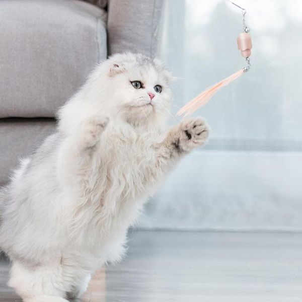 

cat toys pakeway funny stick feather kitten toy laser pointer kit supplies