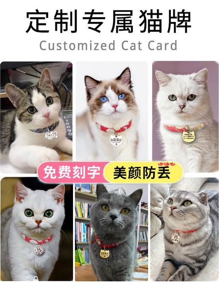 

cat collar engrave surname small dog necklace pet tag to prevent loss