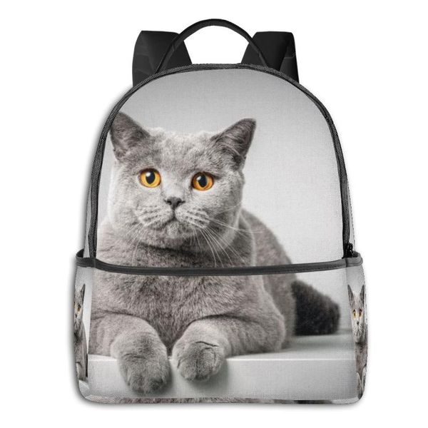 

backpack classical simple women canvas backpacks school bag for british shorthair cat lying on table lapback pack travel