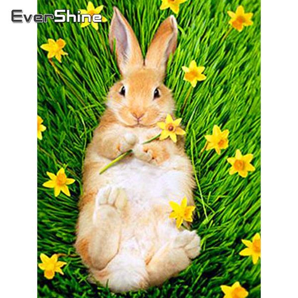 

diamond painting evershine 5d diy full drill square cross stitch embroidery sale animals mosaic beadwork