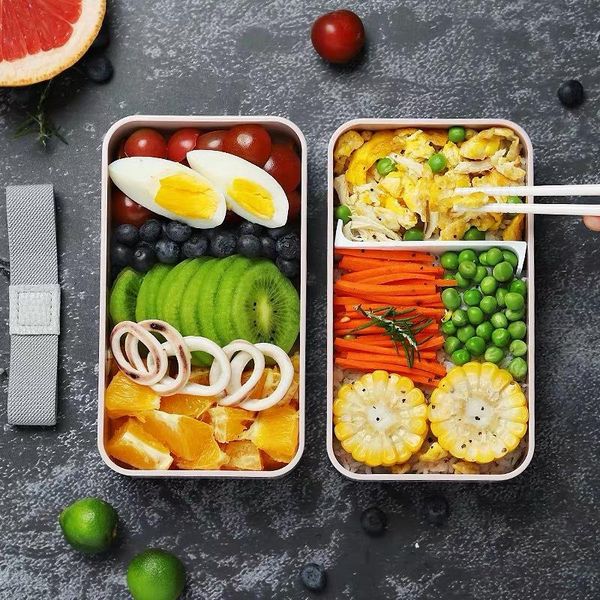 

dinnerware sets double-layer lunch box with plastic compartment for student