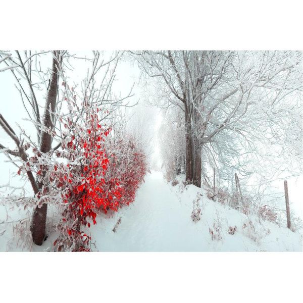 

party decoration christmas backdrop winter tree snow scene pography background family year xmas po booth studio prop