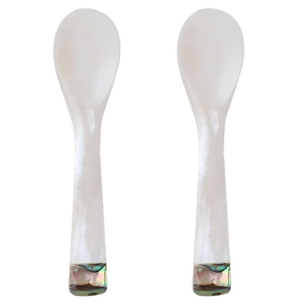 

2pcs convenient portable useful durable shell spoon dessert spoons coffee scoop for indoor