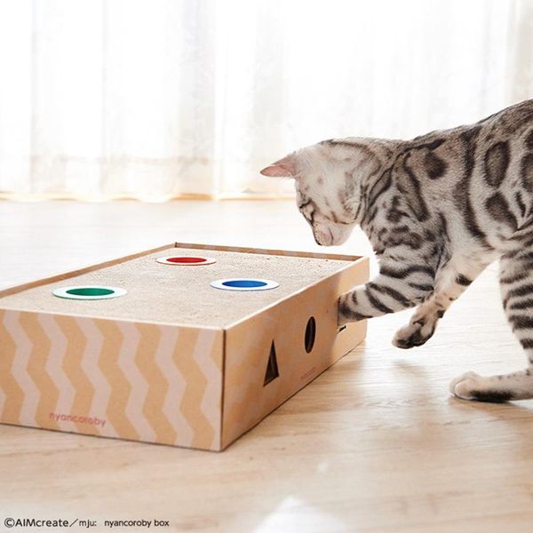 

cat toys 2021 toy chase hunt mouse game box 3 in 1 with scratcher funny stick hit gophers interactive maze tease