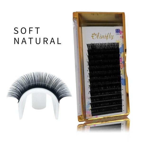 

false eyelashes ainifily automatic flowering lash 3d/4d/5d premade fans eyelash natural 1's blossom easy fan extensions individual